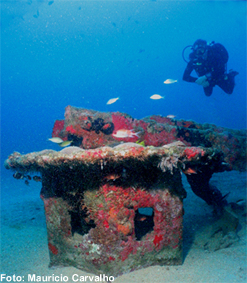 FSDraguina0902 1