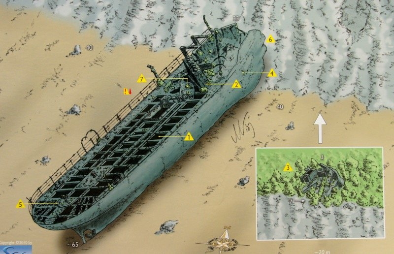 Aidacorqui4