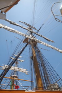 Amerigvespucci0239