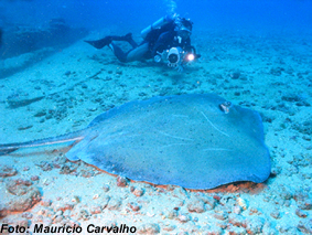 Bahia0821
