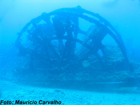 Bahia0824
