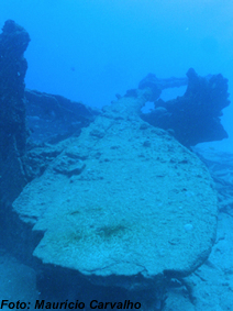 Bahia0858 1