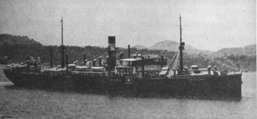 Carolinaabrabuta