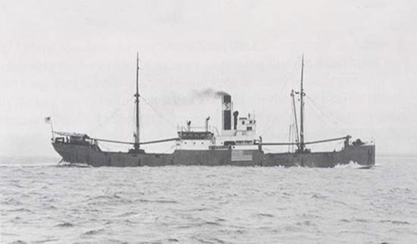 Carolinacaribesea