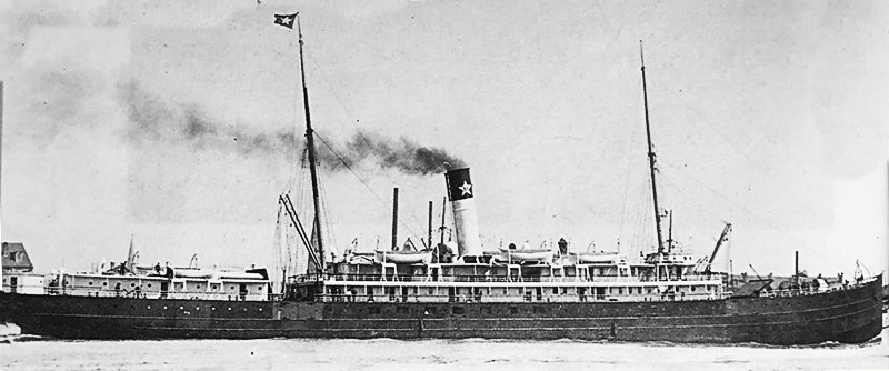 Carolinaproteus 1