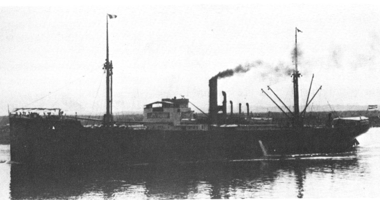 Carolinasuiloide