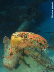 Chuuk I169 1314