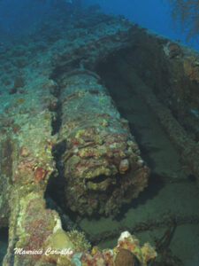 Chuuk I169 1331