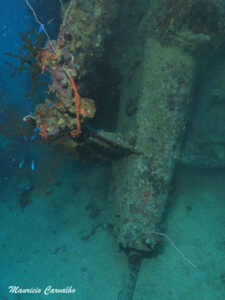 Chuuk I169 1343