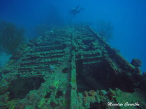 Chuuk I169 1371 b 1