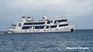 Chuuk Odyssey