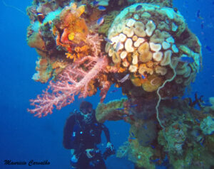 Chuuk amagisan 886