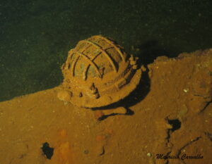 Chuuk amagisan 895