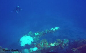 Chuuk amagisan 980