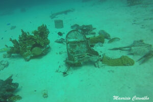 Chuuk betty182