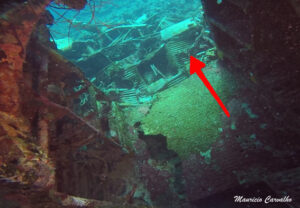 Chuuk betty184