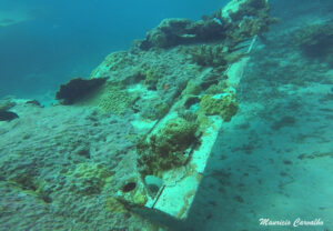 Chuuk betty307