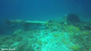 Chuuk betty452