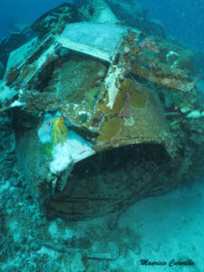 Chuuk betty525
