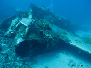 Chuuk betty527