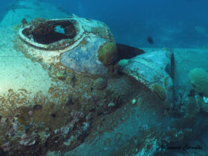 Chuuk betty538