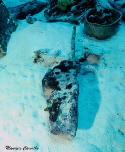 Chuuk betty551