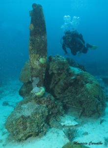 Chuuk betty565