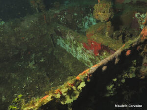 Chuuk fujikawa711