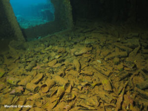 Chuuk fujikawa724