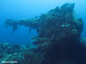 Chuuk fujikawa732