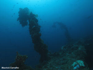Chuuk fujikawa778