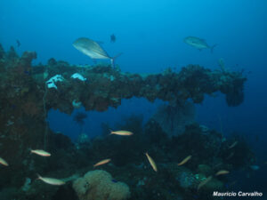 Chuuk fujikawa794