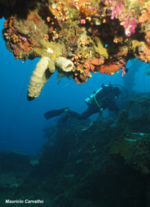 Chuuk fujikawa814