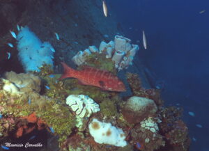 Chuuk hoki 06