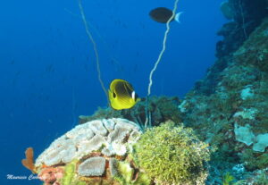 Chuuk hoki 08