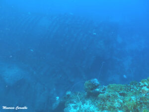 Chuuk hoki 498