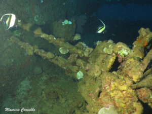 Chuuk nippo1213