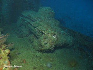 Chuuk nippo1254