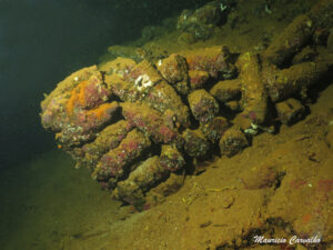 Chuuk nippo1265
