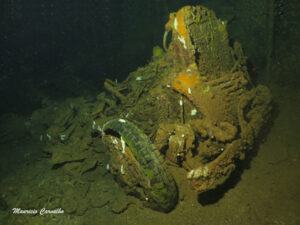 Chuuk sankisan 02