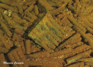 Chuuk sankisan 05
