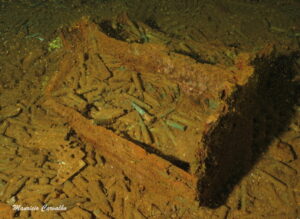 Chuuk sankisan 11
