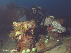 Chuuk sankisan 12