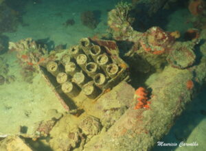 Chuuk yamarigi 139