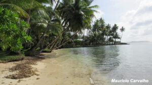 Chuuk089