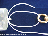 Dicano00