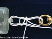 Dicano03