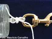 Dicano07