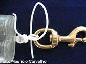 Dicano08