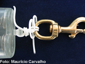 Dicano09